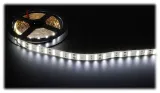 tasma-led-5-m-biala-6000-k-12-v
