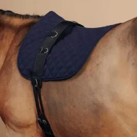 pas-do-lonzowania-fouganza-332654