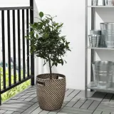 ikea-ragkorn-oslonka-doniczki-24-cm-ksztalt-owalny