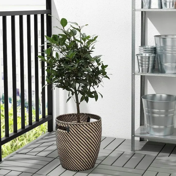 ikea-ragkorn-oslonka-doniczki-24-cm-ksztalt-owalny