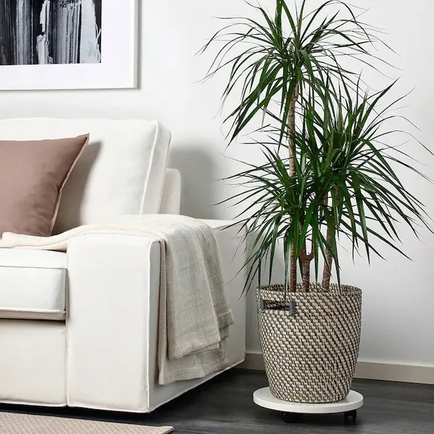 ikea-ragkorn-oslonka-doniczki-24-cm-material-tworzywo-sztuczne