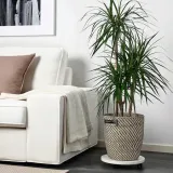 ikea-ragkorn-oslonka-doniczki-24-cm-material-tworzywo-sztuczne