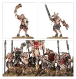 warhammer-tow-battalion-beastmen-brayherds