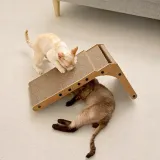 drapak-niski-bedee-61-100-cm-rodzaj-drapak-niski