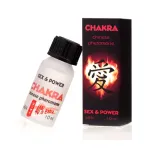 torba-na-laptopa-15-17-novato-remedial-r91800-21-waga-z-opakowaniem-0-64-kg-kod-producenta-r91800-21