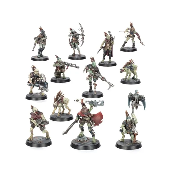 warhammer-40k-combat-patrol-kroot