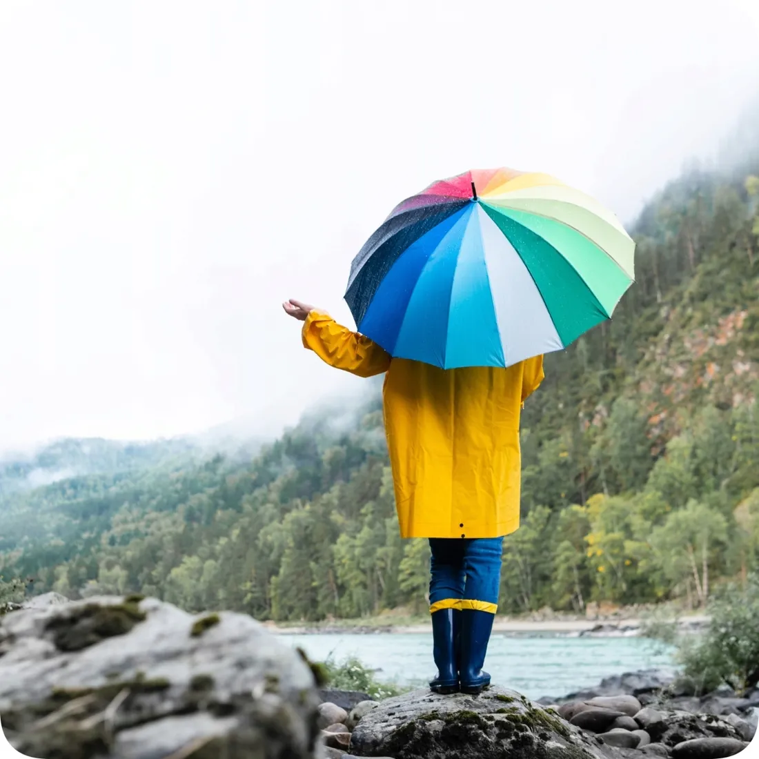 stacja-pogody-camry-proforecast-1166