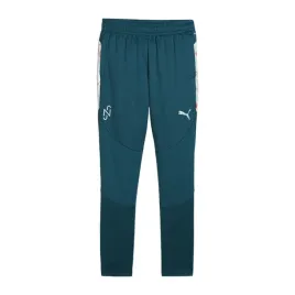 spodnie-pilkarskie-dzieciece-puma-neymar-jr-creativity-training-176