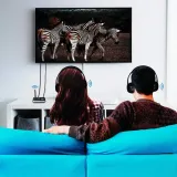 adapter-bluetooth-logilink-bt0062-zalaczone-wyposazenie-kable-rca-optyczny-audi