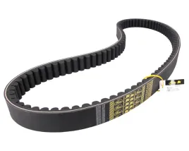 pas-60x2420-claas-629035-176475-84817640-gates