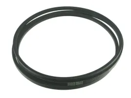 pas-070310-17-x-3911