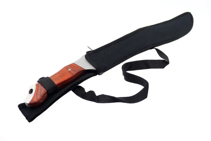 maczeta-foxter-crocodile-model-crocodile