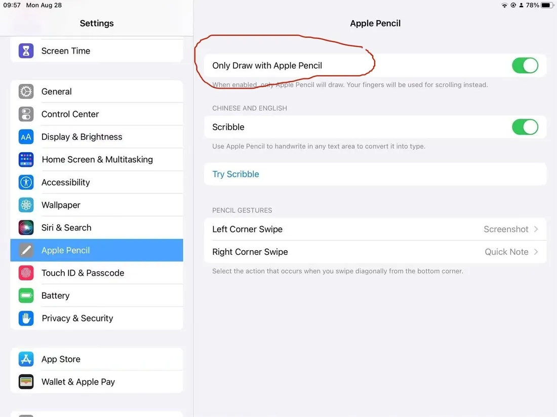 rysik-do-apple-ipad-air-pro-mini-modele-2018-2025