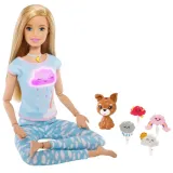 barbie-lalka-medytujaca-z-muzyka-i-swiatlem-gnk01-akcesoria-od-mattel-3-wiek-dziecka-3-lata