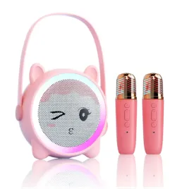 zestaw-do-karaoke-amt-zestaw-tf030-5-w-zloty