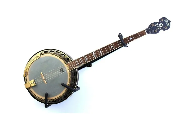 statyw-gitarowy-roxtone-gs016-przeznaczenie-gitary