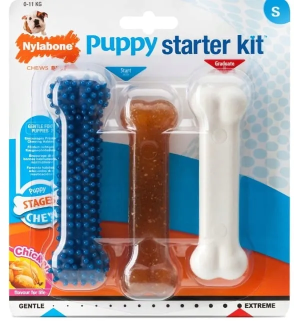 gryzak-dla-psa-nylabone-puppy-starter-kit