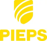 pieps-detektor-pro-ips-kod-producenta-9120029060036-model-pro-ips