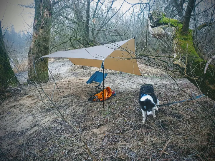 tarp-lesovik-zmora-walnut-brown-dlugosc-2-8-m