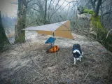 tarp-lesovik-zmora-walnut-brown-dlugosc-2-8-m