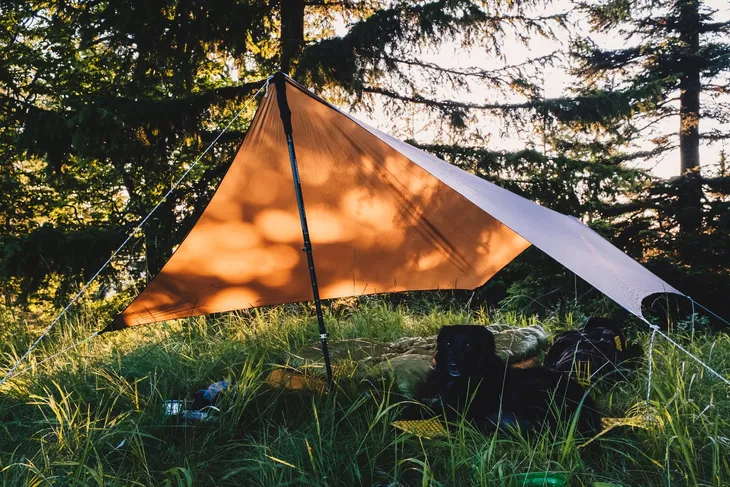 tarp-lesovik-zmora-walnut-brown-szerokosc-2-6-m