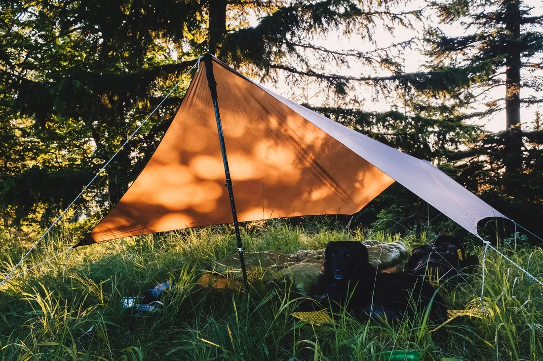 tarp-lesovik-zmora-kangaroo-brown