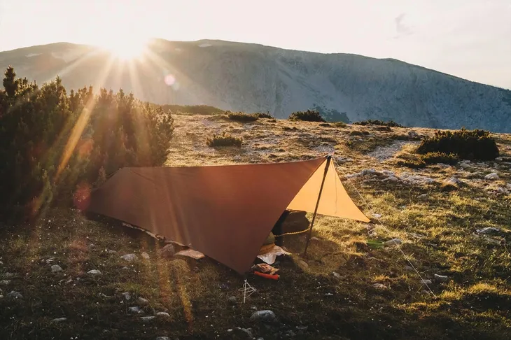 tarp-lesovik-zmora-walnut-brown-model-zmora