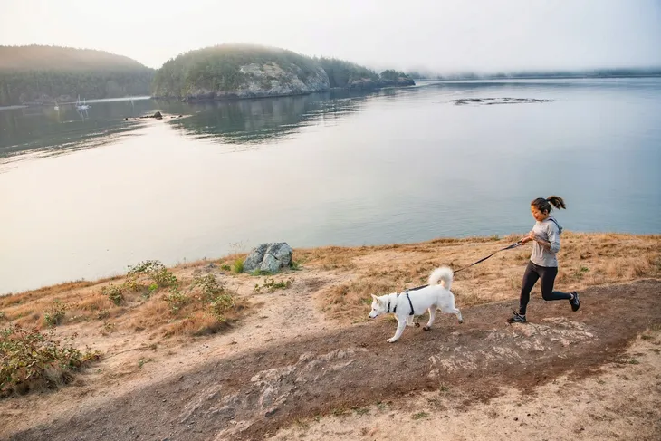 szelki-dla-psa-ruffwear-front-range-harness-s-basalt-gray-marka-ruffwear-rozmiar-s