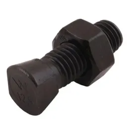 sruba-pluzna-oval-m14x48-mm-12-9-vogel-and-noot