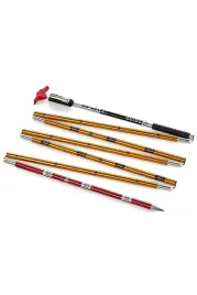 arva-sonda-lawinowa-guide-260