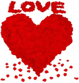 platki-roz-jedwabne-czerwone-4000-sztuk-dekoracja-romantyczna-na-okazje