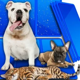 mata-chlodzaca-50x90cm-legowisko-dla-psa-kota-34