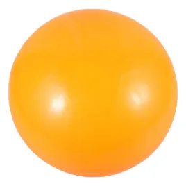 pilka-do-siatkowki-wilson-castaway