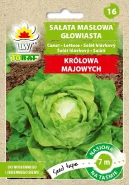 salata-krolowa-majowych-nasiona-tasma-7m-toraf