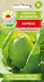 kapusta-stozkowa-express-nasiona-warzyw-1g-toraf