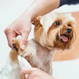 trymer-do-lap-psa-led-precyzyjny-cichy-marka-bez-marki