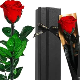 wieczna-roza-z-lodyga-zakonserwowana-prawdziwa-w-pudelku-prezentowym