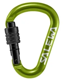 karabinek-salewa-hms-screw-g2-small-fluo-green