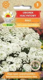 ubiorek-hiacyntowy-nasiona-kwiatow-1g-toraf