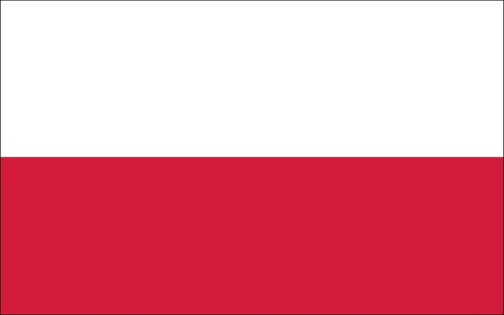 pedzel-angielski-plaski-63mm-waga-z-opakowaniem-0-02-kg