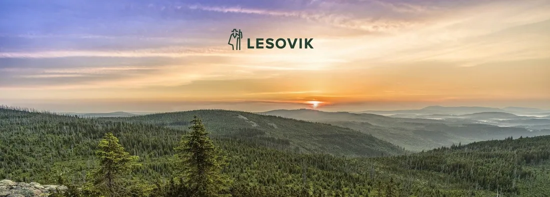 pokrowiec-lesovik-larva-midnight-sky