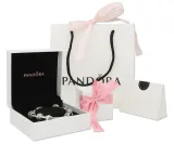 charms-pandora-litera-d-797458-material-srebro