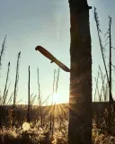 noz-marttiini-martef-skinner-dlugosc-rekojesci-12-cm