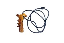 wabik-na-lisa-i-kozla-bor-hunter-nature-pisk-kozlaka