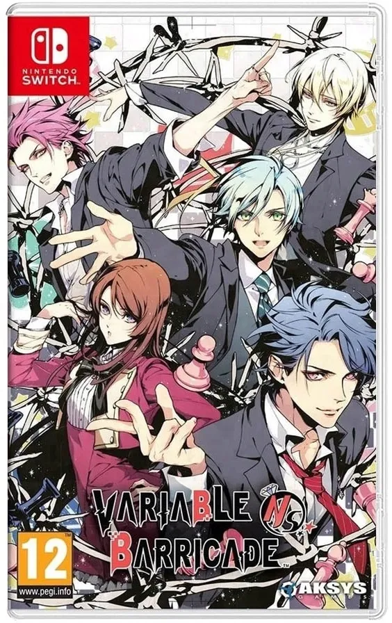 variable-barricade-nintendo-switch-pudelkowa