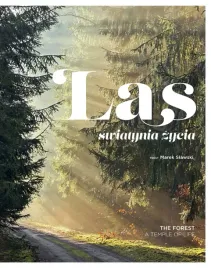 las-swiatynia-zycia-praca-zbiorowa-tekst-marek-slawski