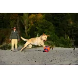 pilka-dla-psa-chuckit-18468-marka-chuckit