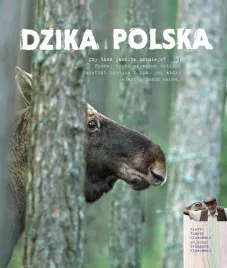 dzika-polska-tomasz-klosowski