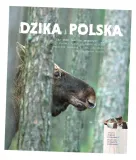 dzika-polska-tomasz-klosowski-wydawnictwo-multico-oficyna-wydawnicza