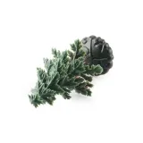 mini-choinka-igloo-model-kod-producenta-dlugosc-2000-cm-dlugosc-20-cm